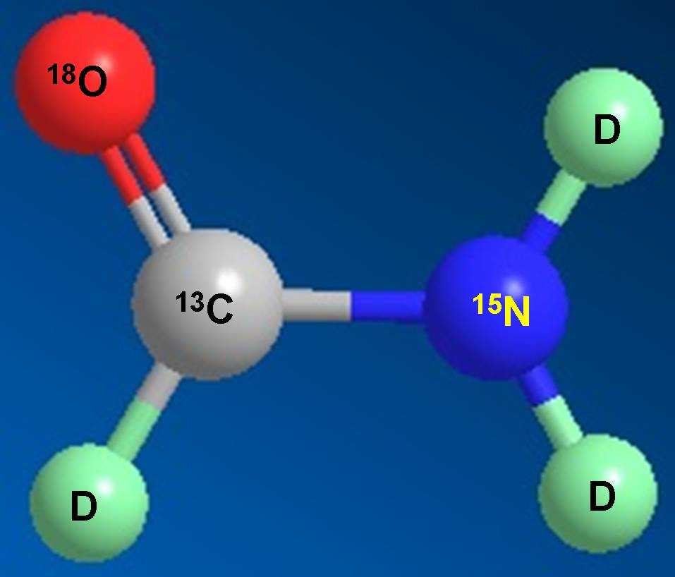 J9集团科研人员受邀担任同位素技术互换培训会讲师