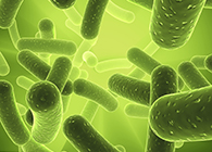 J9集团将参与2013年欧洲生物春季展会