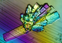 J9集团副总裁金晓玮博士等一行出席了在上海进行的中国科学技术大学堂友会沙龙