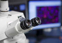 改委监控三类药价，成本价调查将启动