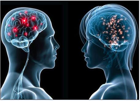 5月2号，医药经济报上颁发了关于陈春麟博士的报路——CRO的中国式崛起蹊径