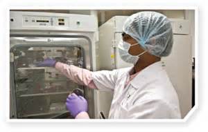 10月17日，陈春麟博士将参与2012岛津全球造药峰会