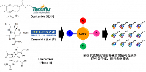 图2：以现有抗流感药物的结构为基础，进行多样性药物分子库的合成。