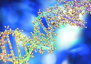 1月5号,陈春麟博士比及场张江2012年迎新年会