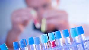 CFDA彻查试验数据造假寻根究底