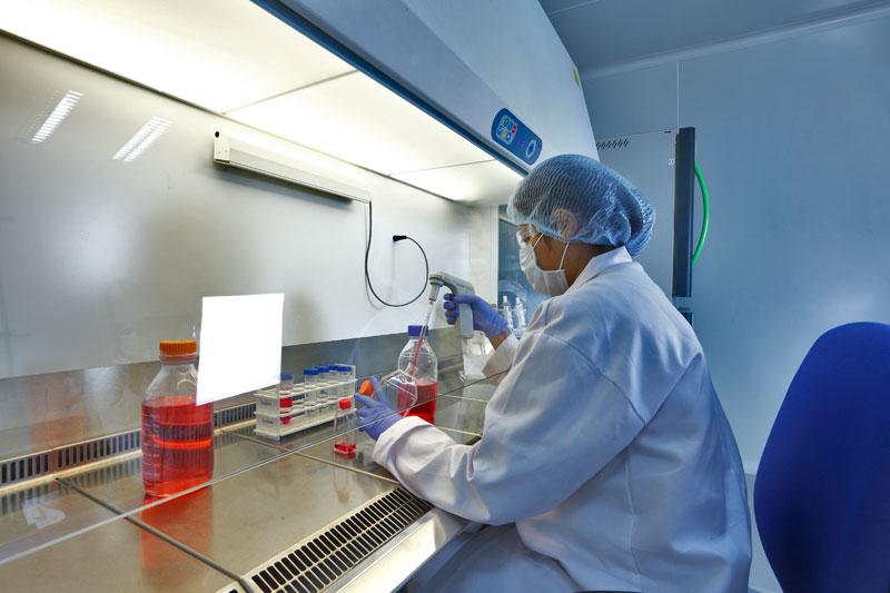 抗体类扩疆新机遇