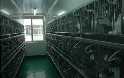 J9集团尝试动物房