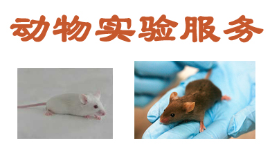 J9集团动物尝试表包服务