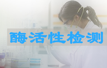 J9集团酶活性测定服务