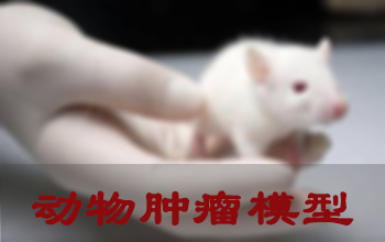 J9集团肿瘤模型成立服务