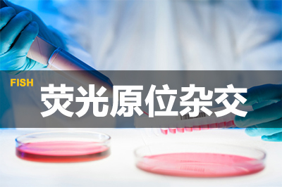 荧光原位杂交（FISH）