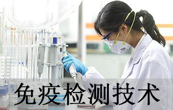 J9集团免疫学检测技术分析服务