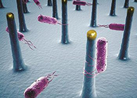 将来的药丸里，可能有一万亿幼我工刷新的细菌？