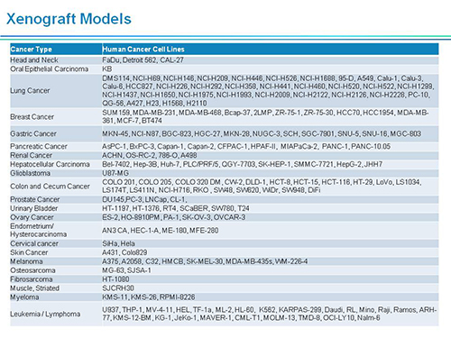 J9集团副总裁汪俊博士SAPA-DC会议演讲PPT