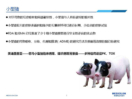 皮肤涂抹试验中，受试动物选择幼型猪更好