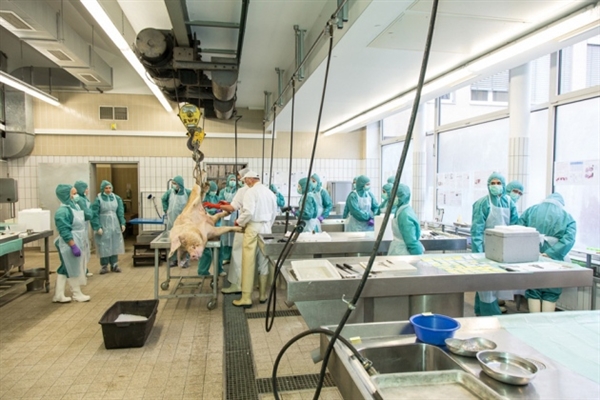 专利绝壁到来，骨质疏松症药物新药研发战况若何？