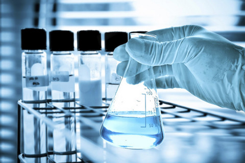 代谢综合征与肠路菌群的钻研进展