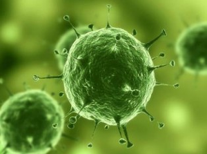 哪些成分影响癌症免疫疗法的疗效？