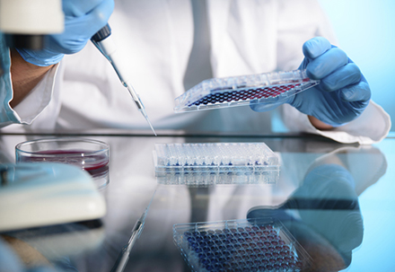 289目录国内特有种类一致性评价抱团才有戏？