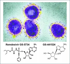 基于细胞因子风暴和免疫炎症反映综合征，好多免疫有关靶点也能够列为冠状病毒的靶点。