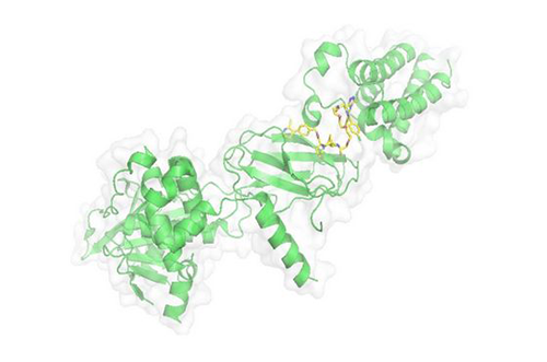PROTAC技术，马兴泉