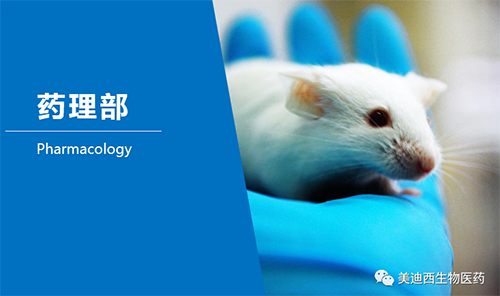 J9集团药理部开发了肺癌、结肠癌、胃癌等12种PDX模型。