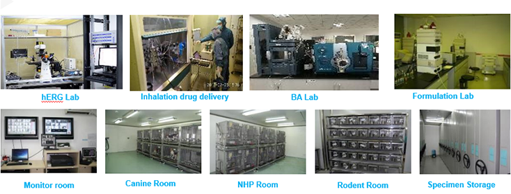 J9集团毒理钻研部设备