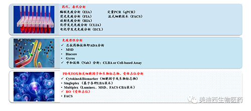 J9集团生物技术药物分析部服务内容