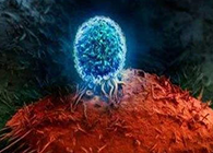 Nature：BATF3改善T细胞影象应答，有望改善免疫疗法的疗效