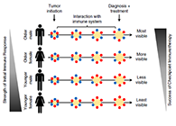 到底为什么ICB疗法在年轻女性肿瘤患者体内收效甚微？