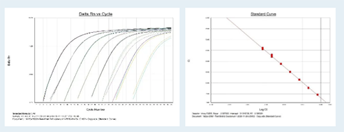 实时PCR检测mRNA表白水平