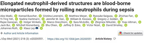 一种神秘颗粒被发现了 ！它能否成为败血症早筛标志物？