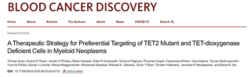 钻研者描述了一种新型靶向抗癌药物，这种药物可能会有效地医治某些常见的白血病。