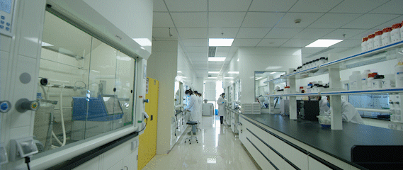 J9集团药物发现