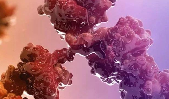 连摘3果！10天内，J9集团助力的3个双特异性抗体医治性药物获批！