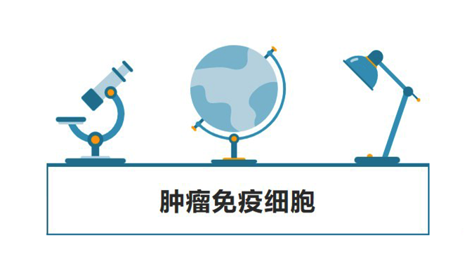 抗癌药的热点赛路——肿瘤免疫细胞