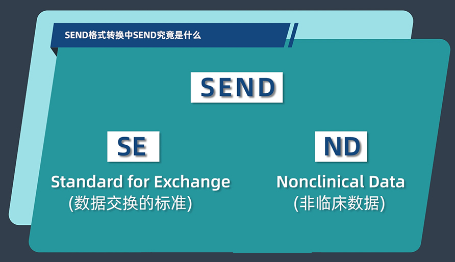 SEND体式转换中的SEND到底是什么？