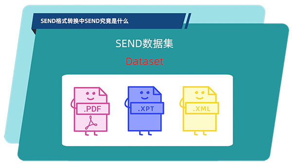 SEND数据集的组成.jpg