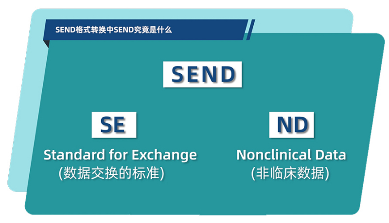 SEND体式转换中的SEND到底是什么.jpg
