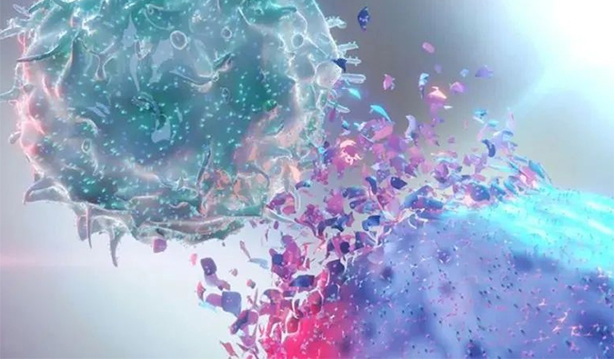 美研| 肿瘤免疫医治的新前沿