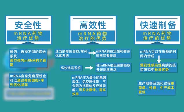 mRNA药物医治的优势有哪些.jpg
