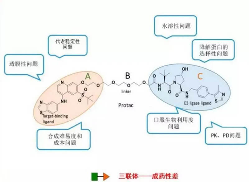 PROTAC分子量较大，溶化性较差.jpg