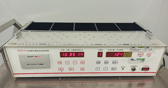 幼鼠自主活动仪