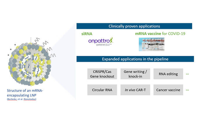 【专家汇报】张翼博士：阳离子脂质高通量定造化筛选