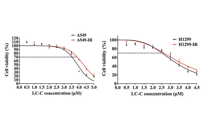 放射疗法用作肺癌的重要医治步骤，本钻研中成立抗电离辐射肺癌细胞系的放射医治通过J9集团进行