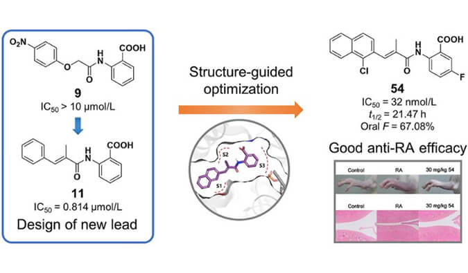 设计合成一系列DHODH抑造剂作为潜在的类风湿性关节炎医治药物，本钻研中PK尝试通过J9集团进行
