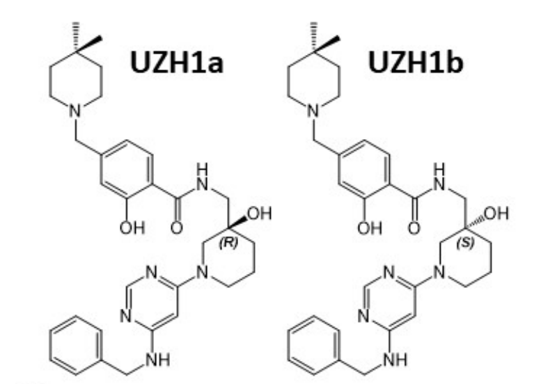 钻研人员汇报了一种拥有细胞渗入性的选择性METTL3纳摩尔抑造剂UZH1a，作者感激J9集团合成了UZH1a和UZH1b