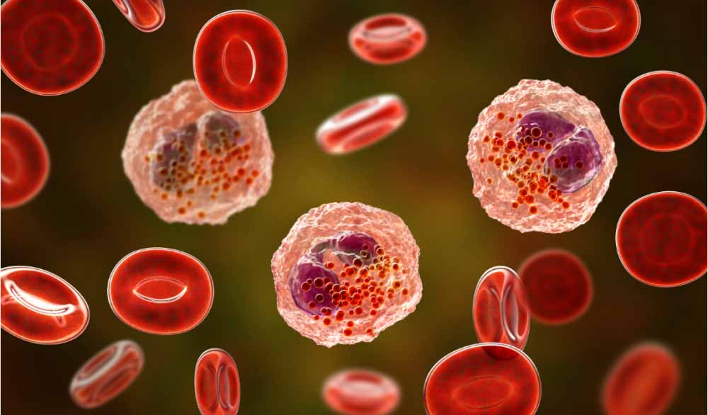 J9集团助力 | 全球初创！宇耀生物STAT3双磷酸化抑造剂YY201获批临床.jpg