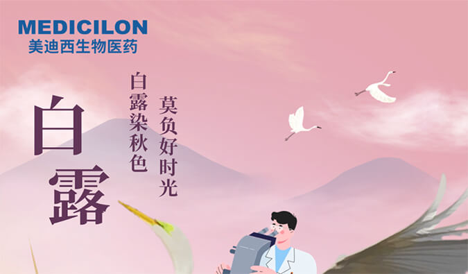 白露 | 白露染秋色，莫负好时光