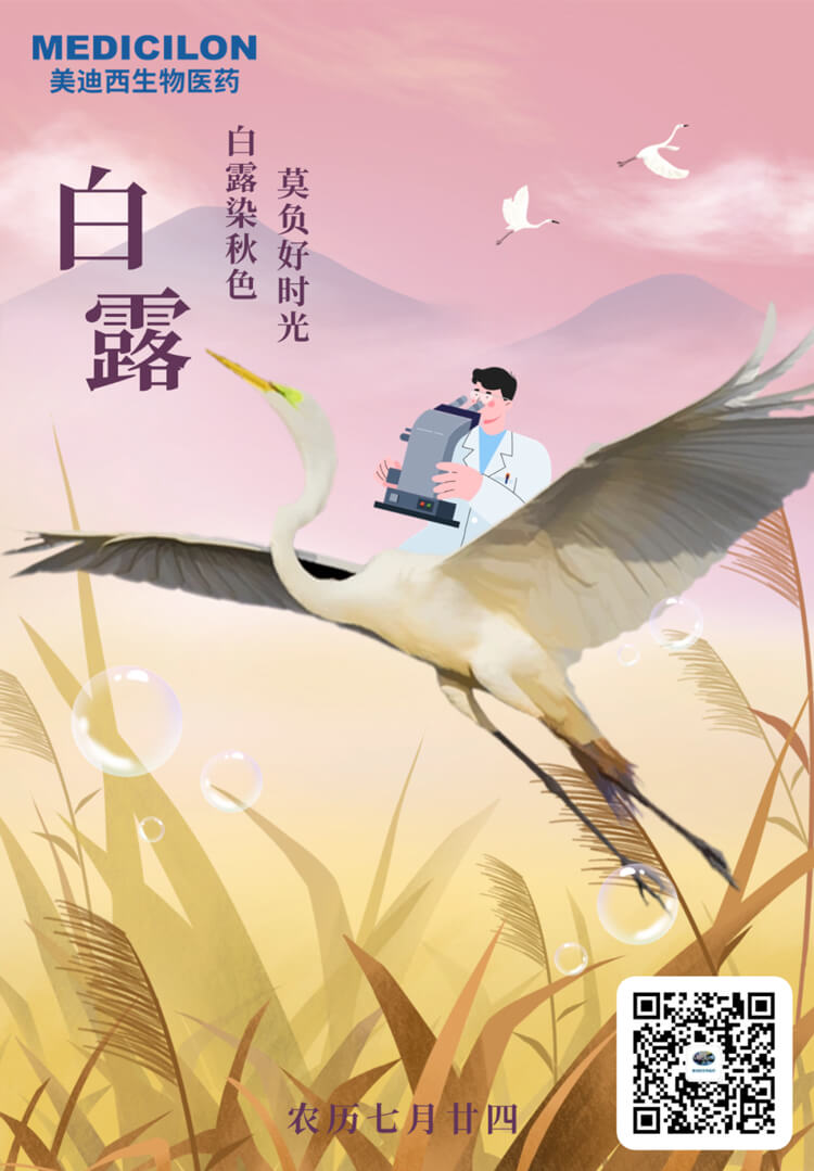 白露染秋色，莫负好时光.jpg